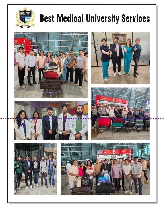 NEET crash course strategy